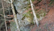 22-DSC05174