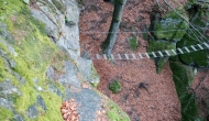 30-DSC05183