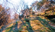 32-DSC05186