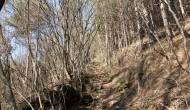 DSC05307