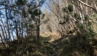 DSC05308