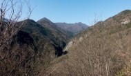 DSC05311