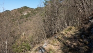 DSC05312