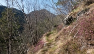 DSC05321