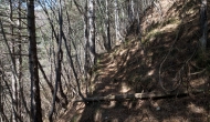 DSC05336