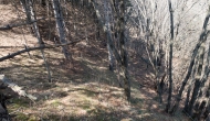 DSC05364