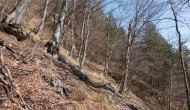 DSC05365