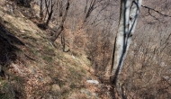 DSC05367