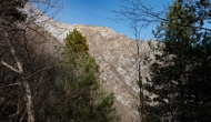 DSC05370
