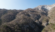 DSC05372