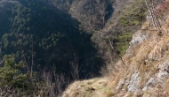 DSC05374