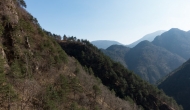 DSC05375