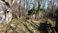 DSC05376