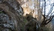 DSC05377