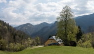 DSC05458