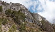 DSC05460