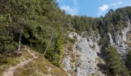 DSC05465