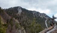 DSC05470