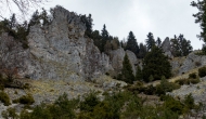 DSC05483