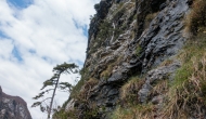 DSC05535