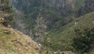 DSC05562