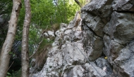 DSC05754