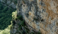 DSC05770