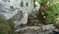 DSC05775