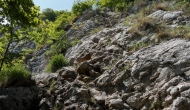 DSC05780