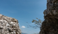DSC05785