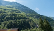 DSC05798