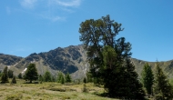 DSC06031