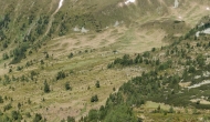 DSC06065