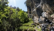 DSC06079