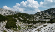 DSC06156