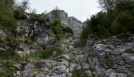 DSC06305