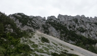 DSC06397