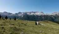 DSC06440