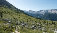 DSC06447