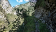 DSC06607