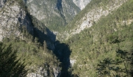 DSC06609