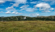 DSC06756