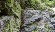 DSC06780