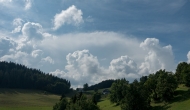 DSC06785