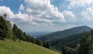 DSC06786