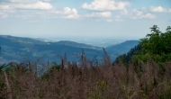 DSC06790