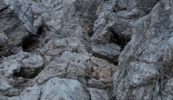 DSC07069