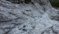 DSC07135