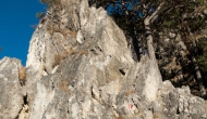 DSC07480