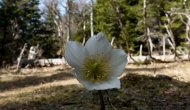 DSC07504